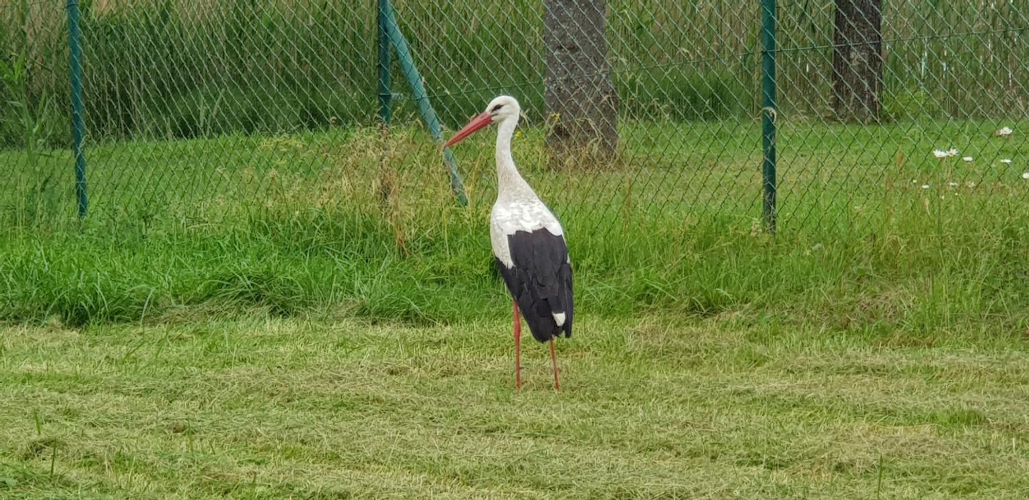 Domek Letniskowy Krejwince Buitenkant foto